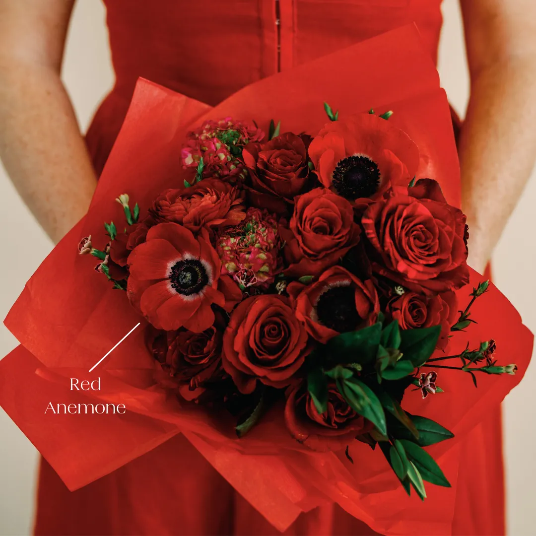 Red Anemone Flower